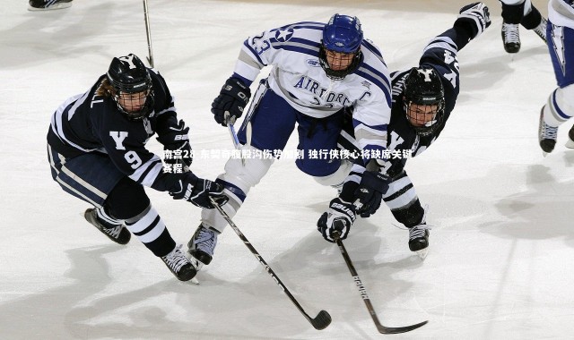 南宫28-东契奇腹股沟伤势加剧 独行侠核心将缺席关键赛程