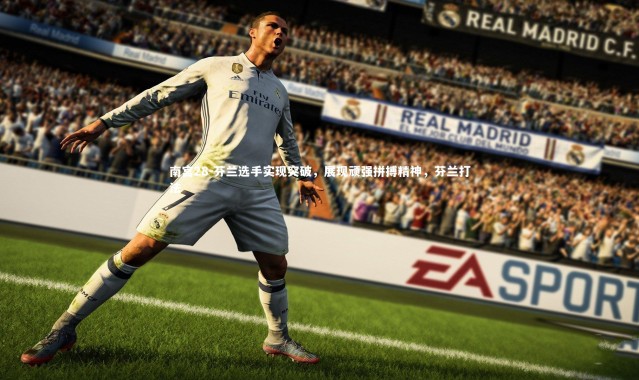 南宫28-芬兰选手实现突破，展现顽强拼搏精神，芬兰打法