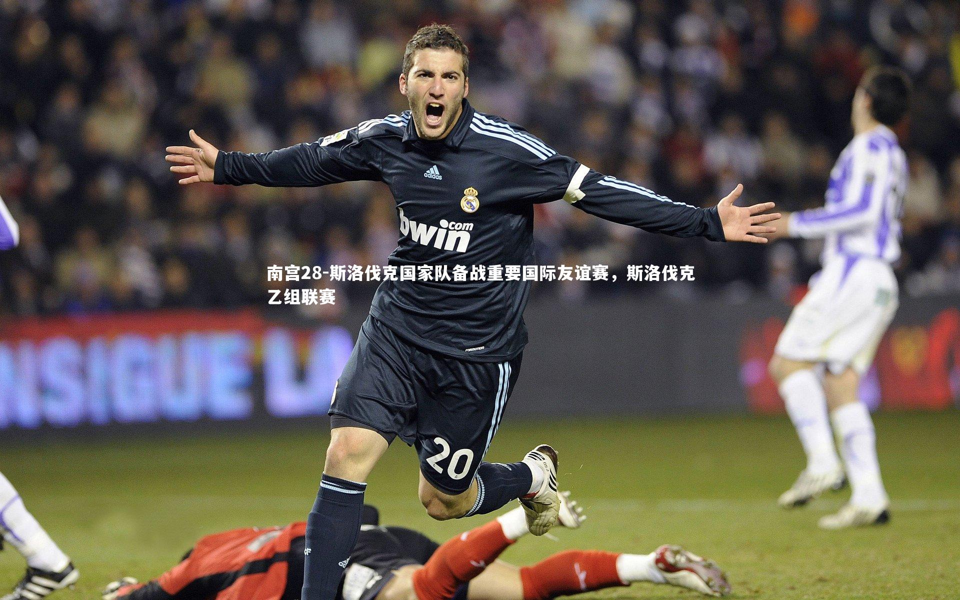 斯洛伐克国家队备战重要国际友谊赛，斯洛伐克乙组联赛